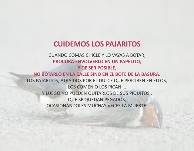 Cuidemos los pajaritos Junio 30 de 2011